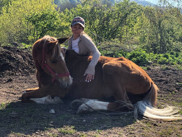 konnie-progulki32 Конный клуб